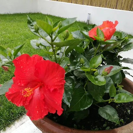 Guest house Ca Giuliana